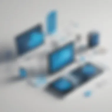 Salesforce Subscription Suitability for Different Business Sizes Business sizes and Salesforce subscription suitability