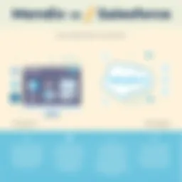 Comparison of Mendix and Salesforce functionalities