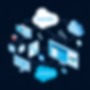 User experience evaluation of software platforms