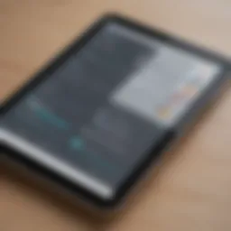 Overview of personal trainer client management app interface showing user-friendly design