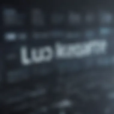Comparison of LeadIQ value for startups vs established enterprises