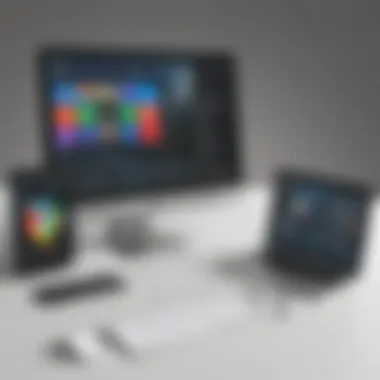 Integration capabilities of various software options