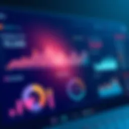 Dynamic dashboard showcasing gamification metrics