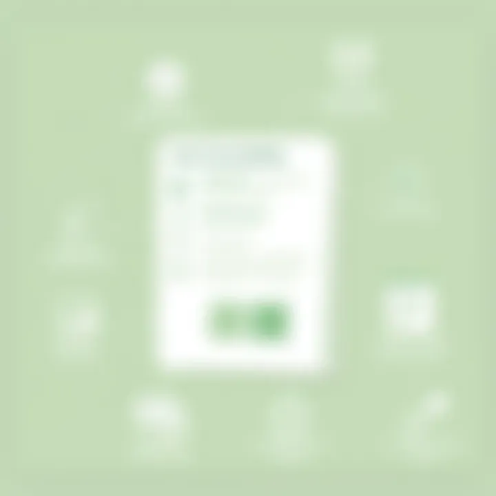 Visual representation of user accessibility features in payroll software