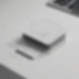 Customizable Typeform interface showcasing diverse design options