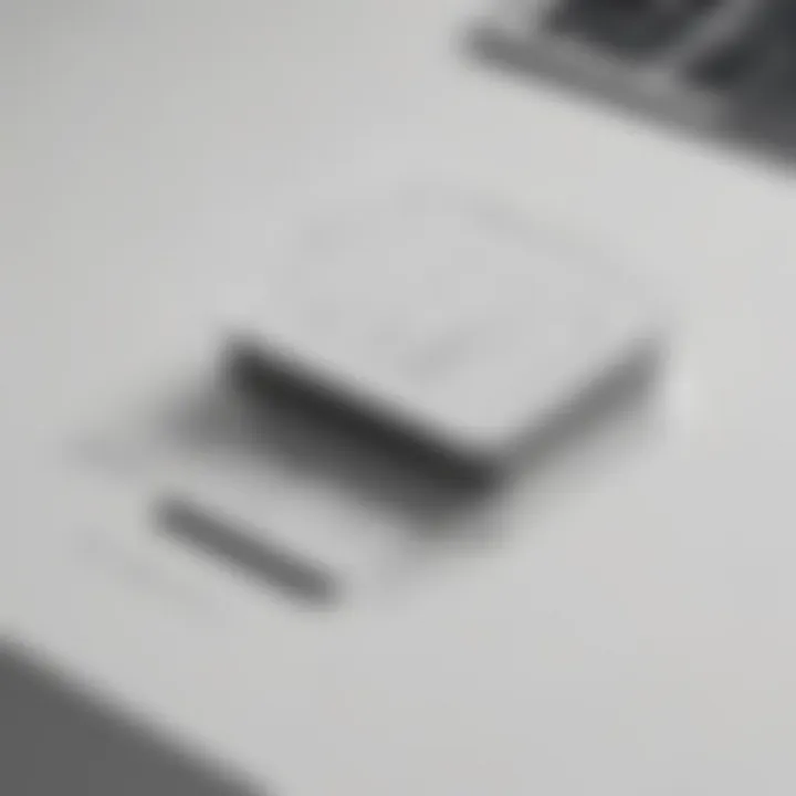 Customizable Typeform interface showcasing diverse design options