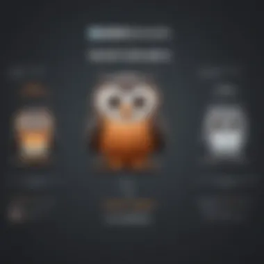 Feature Comparison of Hootsuite Packages Graph showcasing the features comparison between Hootsuite packages