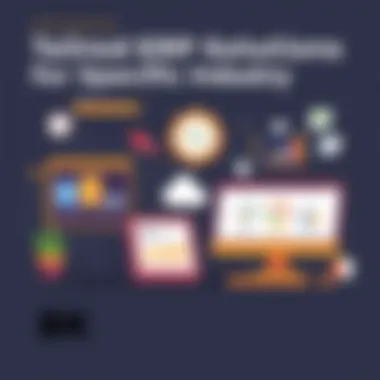 Industry-specific ERP solutions