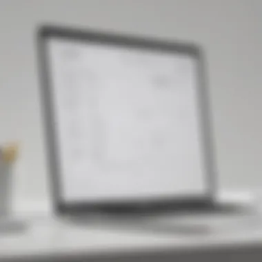 User-friendly Interface of Invoice Software User-friendly interface of invoice software on Mac