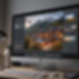 An overview of advanced picture editing software interface