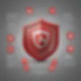 Overview of McAfee Complete Data Protection features