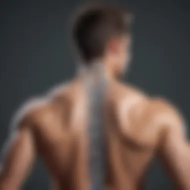 Future Trends in Chiropractic Technology Future trends in technology for chiropractic practices
