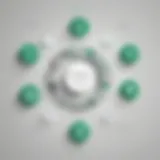 Key stakeholders in PagerDuty integration