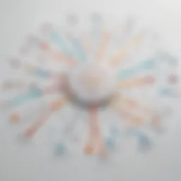 Visual representation of mind mapping software features