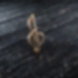 Illustration of music notes representing copyright-free music