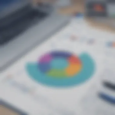 Graphical representation of financial management tools within the software.